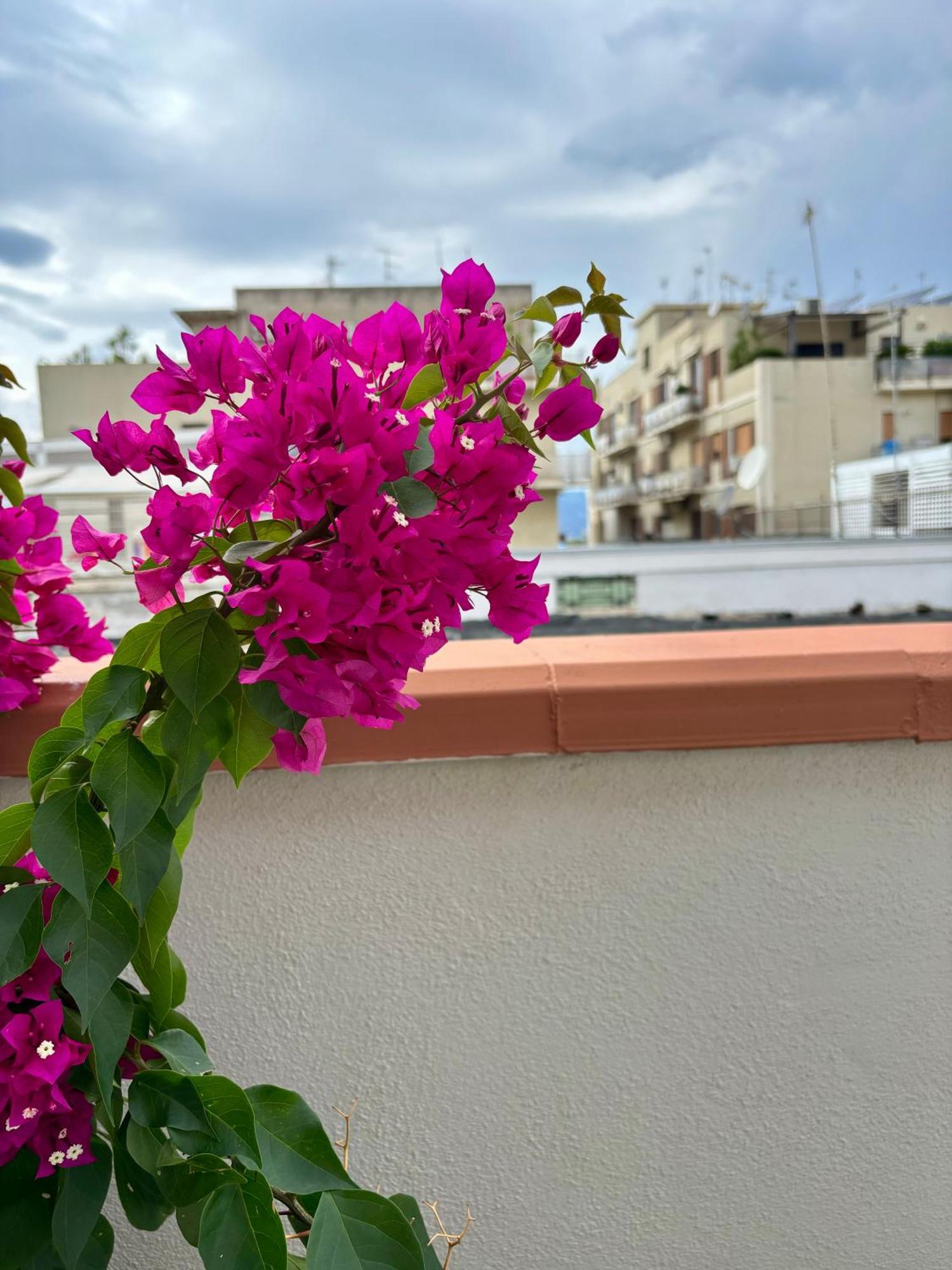 Strettomare-Business & Travel Apartment Ρέτζιο ντι Καλάμπρια Εξωτερικό φωτογραφία